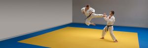 Tatamio Kovos menų danga/sporto grindys